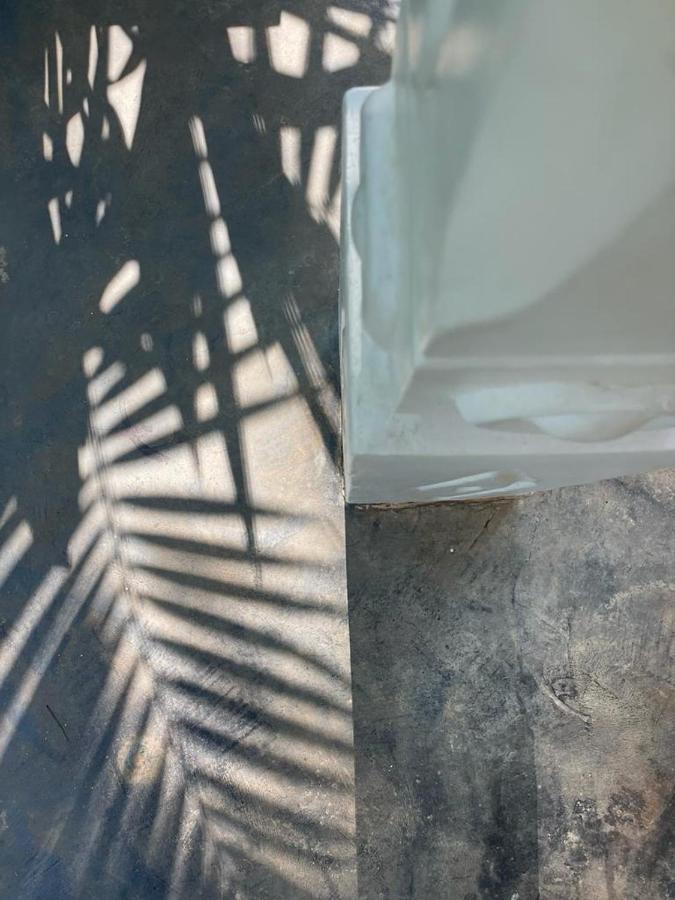 ディックウェラLe Cabanonアパートメント エクステリア 写真